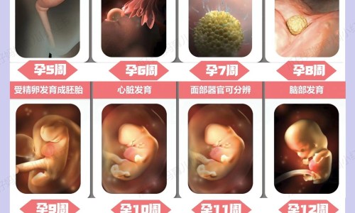 怀孕初期爱出虚汗-怀孕前期感觉热爱出汗网 | 怀孕初期爱出虚汗,怀孕初期会很热容易出汗吗