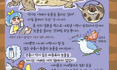 怀孕前期感觉热爱出汗网 | 怀孕初期爱出虚汗,怀孕初期会很热容易出汗吗